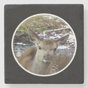 Posavasos De Piedra Poses de ciervo para bebé para la escoria de piedr