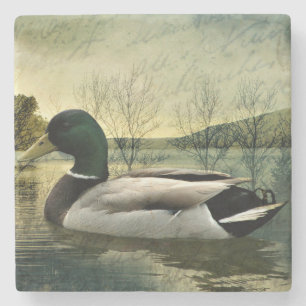 Posavasos De Piedra Postal aleteada de pato mallard vintage