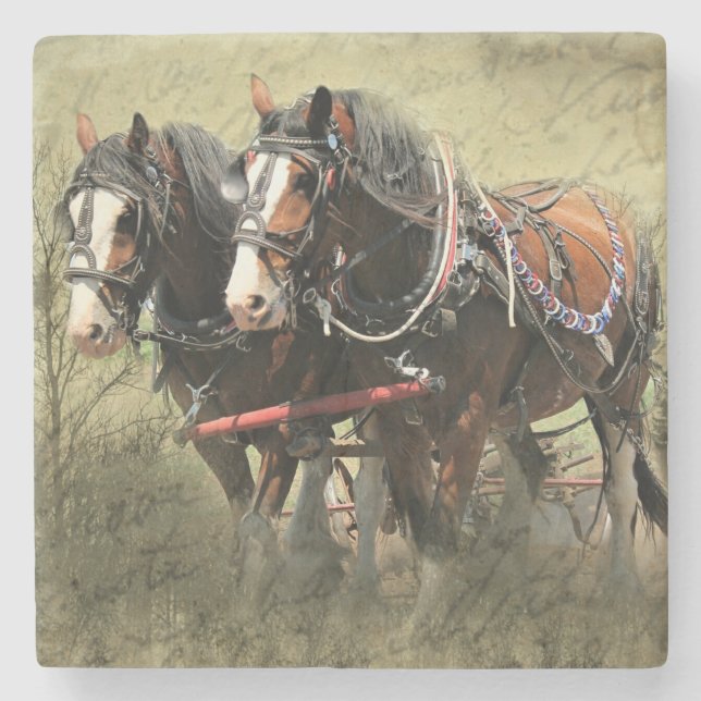 Posavasos De Piedra Postal de Clydesdale Weathered Vintage (Anverso)