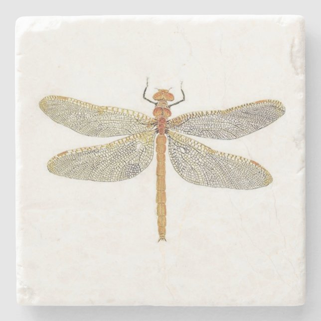 Posavasos De Piedra Práctico de costa anaranjado femenino de (Anverso)