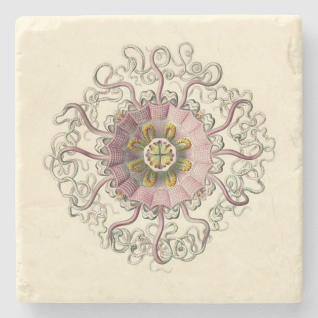 Posavasos De Piedra Práctico de costa de Haeckel Peromedusa (Anverso)