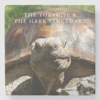 Posavasos De Piedra Práctico de costa de Hania