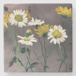 Posavasos De Piedra Práctico de costa de la margarita