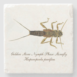 Posavasos De Piedra Práctico de costa de la ninfa de Stonefly