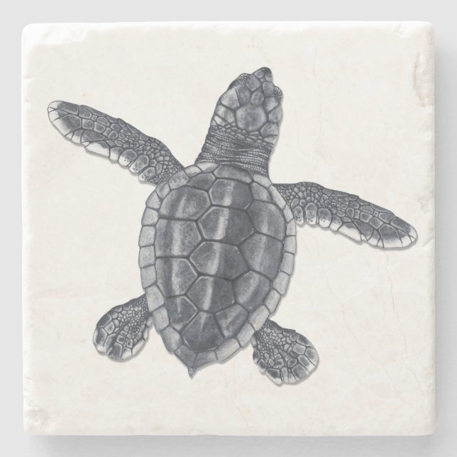 Posavasos De Piedra Práctico de costa de la piedra de la tortuga de (Anverso)