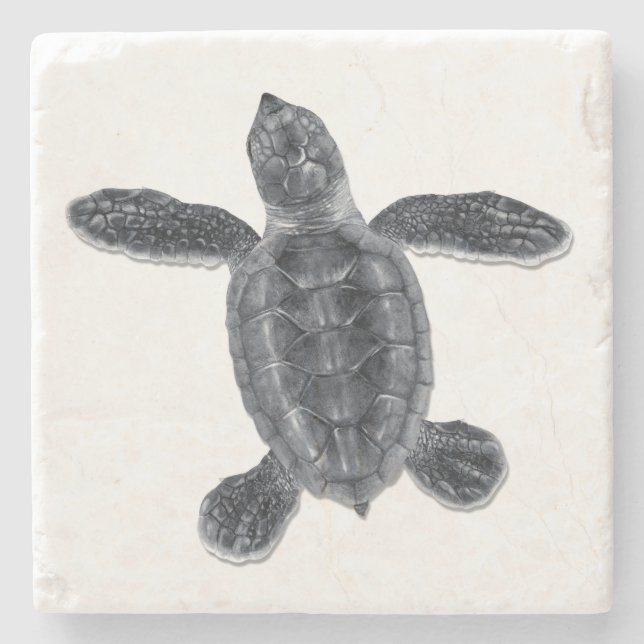 Posavasos De Piedra Práctico de costa de la piedra de la tortuga de (Anverso)