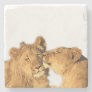 Posavasos De Piedra Práctico de costa de la piedra de los pares del