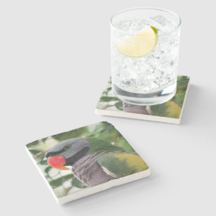 Posavasos De Piedra Práctico de costa de la piedra del Parakeet de