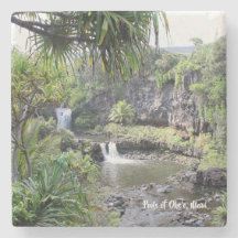 Práctico de costa de las cascadas de Maui