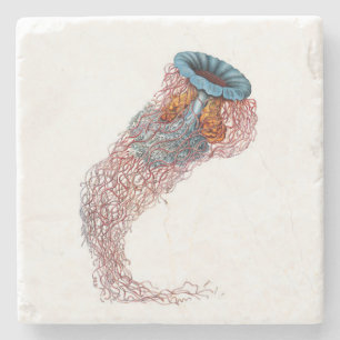 Posavasos De Piedra Práctico de costa de las medusas de Haeckel