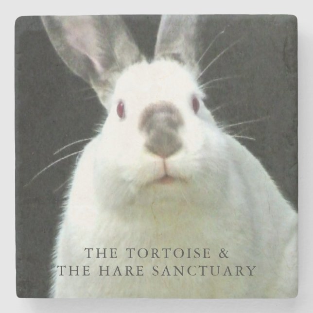 Posavasos De Piedra Práctico de costa de los Cocos (Anverso)