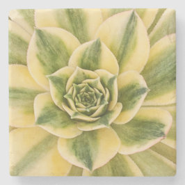 Posavasos De Piedra Práctico de costa de mármol de Succulishus