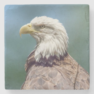 Posavasos De Piedra Práctico de costa de piedra calvo de Eagle