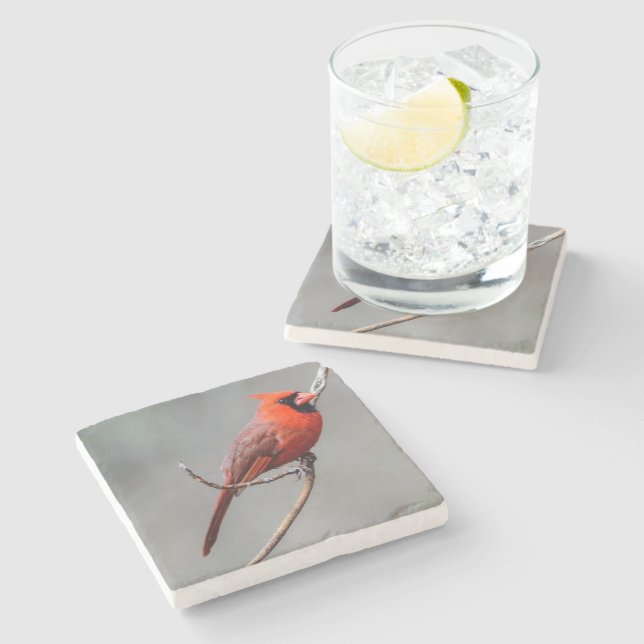 Posavasos De Piedra Práctico de costa de piedra cardinal (Lateral)