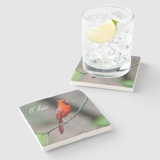 Posavasos De Piedra Práctico de costa de piedra cardinal de Ohio (Lateral)