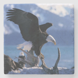 Posavasos De Piedra Práctico de costa de piedra de Eagle