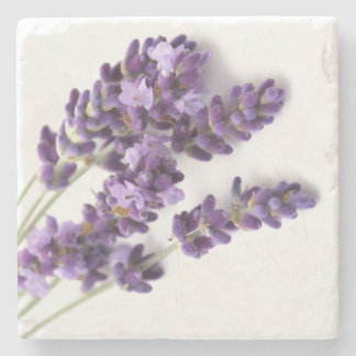 Posavasos De Piedra Práctico de costa de piedra de la lavanda -