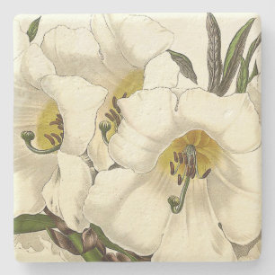 Posavasos De Piedra Práctico de costa de piedra de las flores florale
