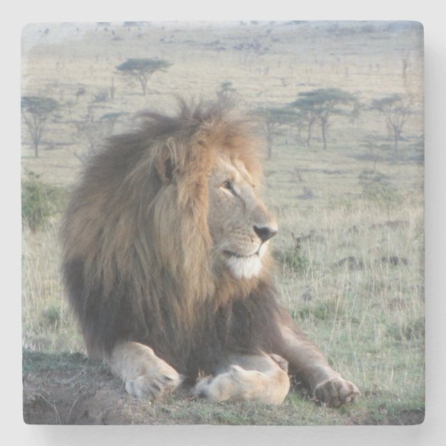 Posavasos De Piedra Práctico de costa de piedra del león (Anverso)