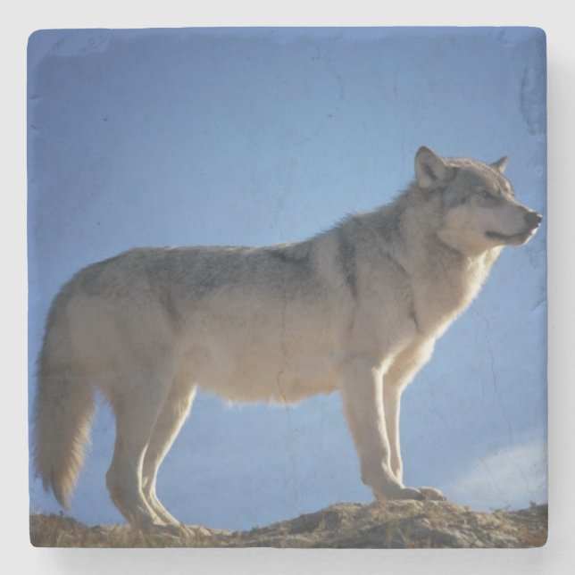 Posavasos De Piedra Práctico de costa de piedra del lobo (Anverso)