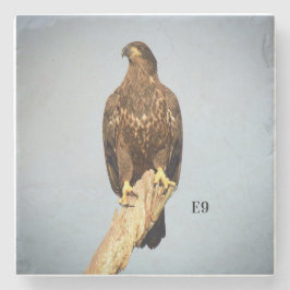 Posavasos De Piedra Práctico de costa de piedra E9