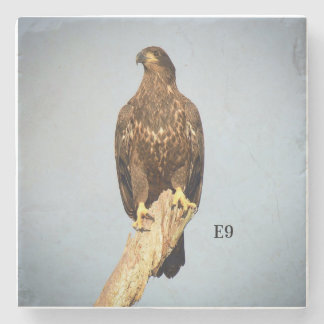 Posavasos De Piedra Práctico de costa de piedra E9