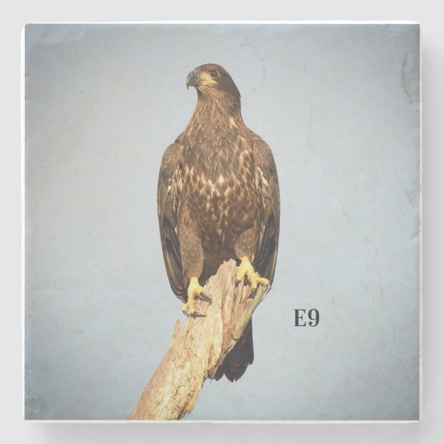 Posavasos De Piedra Práctico de costa de piedra E9 (Anverso)