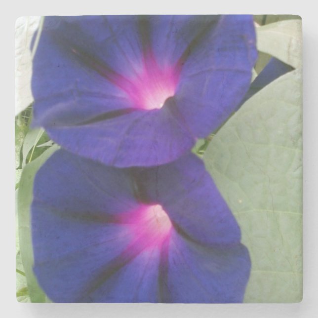 Posavasos De Piedra Práctico de costa de piedra floral (Anverso)