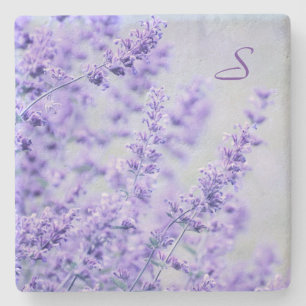Posavasos De Piedra Práctico de costa de piedra floral de la lavanda