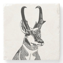 Práctico de costa del antílope