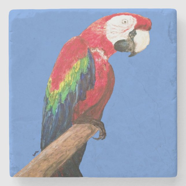 Posavasos De Piedra Práctico de costa del loro del Macaw. Arte (Anverso)