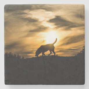 Posavasos De Piedra Práctico de costa del perro