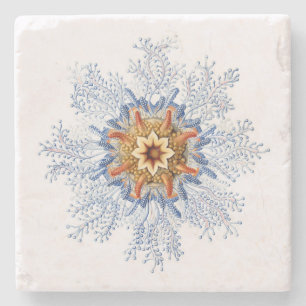 Posavasos De Piedra Práctico de costa del Siphonophora de Haeckel