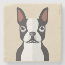 Prácticos de costa de Boston Terrier