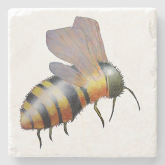 Posavasos De Piedra Prácticos de costa de la abeja del Biggie