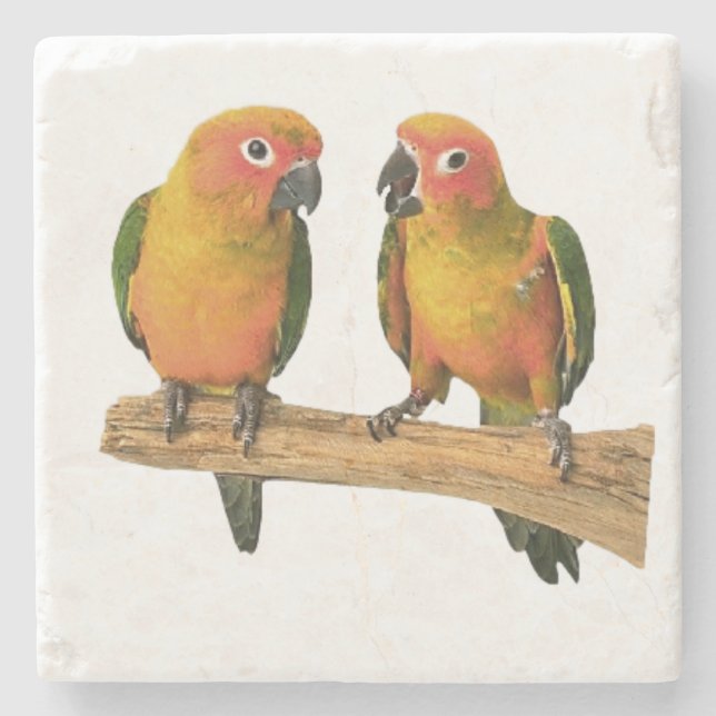 Posavasos De Piedra Prácticos de costa lindos de Conure (Anverso)