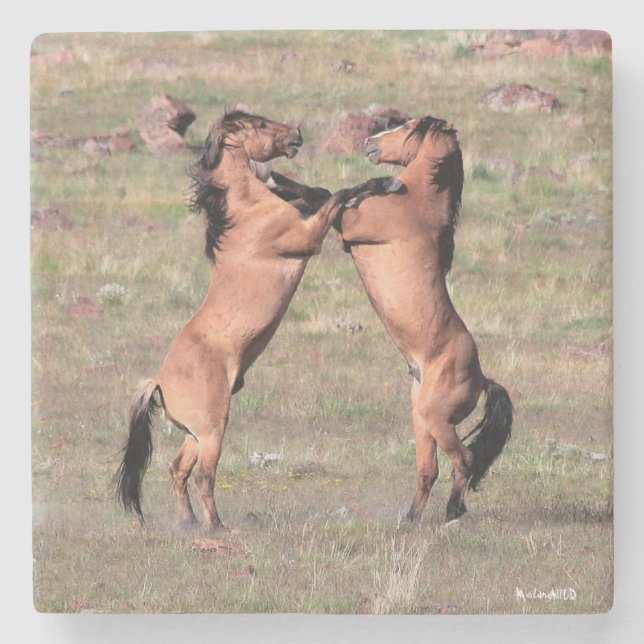 Posavasos De Piedra Prácticos de costa salvajes de Kiger (Anverso)