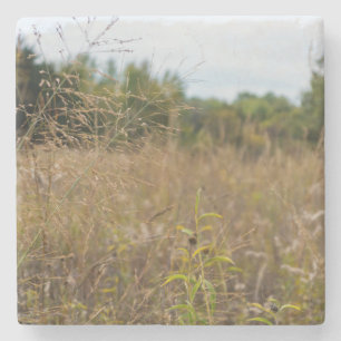 Posavasos De Piedra Prairie sobrecrecida