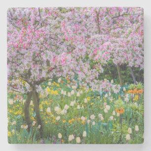 Posavasos De Piedra Primavera en el jardín de Claude Monet