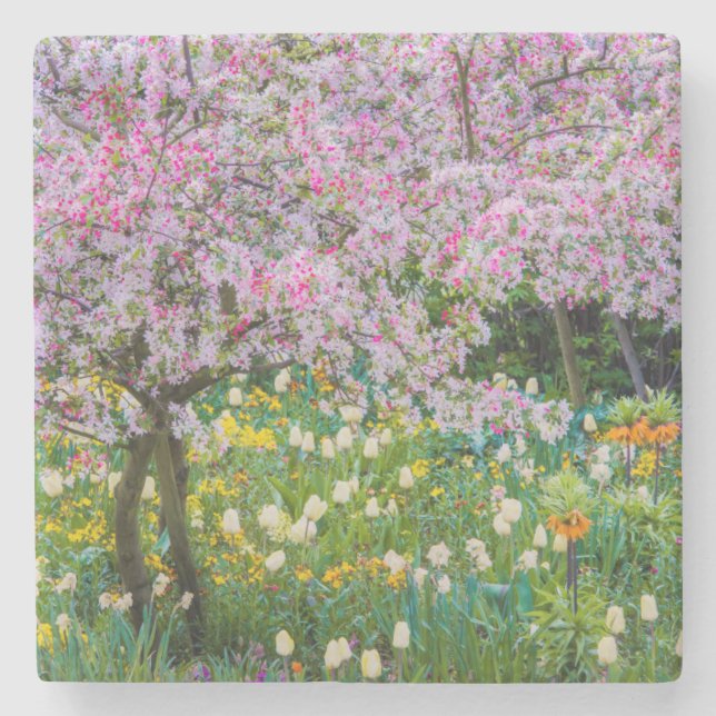 Posavasos De Piedra Primavera en el jardín de Claude Monet (Anverso)
