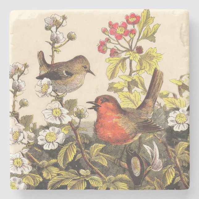 Posavasos De Piedra Primavera Robin Birds Red Birds (Anverso)