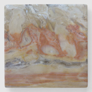 Posavasos De Piedra Primer plano de madera petrificada