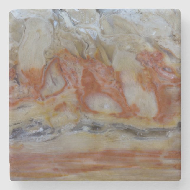 Posavasos De Piedra Primer plano de madera petrificada (Anverso)