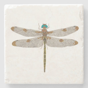 Posavasos De Piedra Príncipe Baskettail Dragonfly Coaster