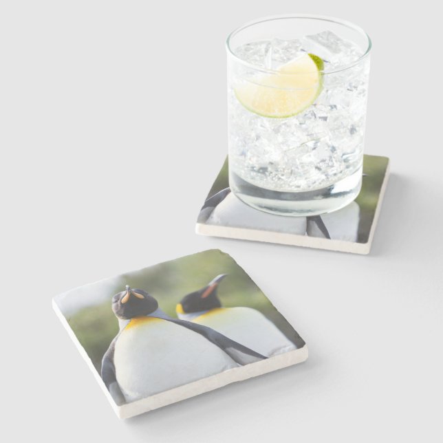 Posavasos De Piedra Proud King penguins photo (Lateral)