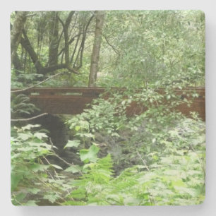 Posavasos De Piedra Puente Muir Woods I