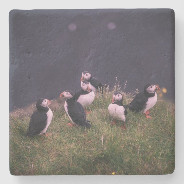 Posavasos De Piedra Puffins atlánticos (Anverso)