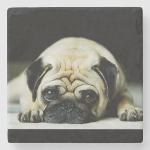 Posavasos De Piedra Pug