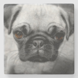 Posavasos De Piedra Pug Pup