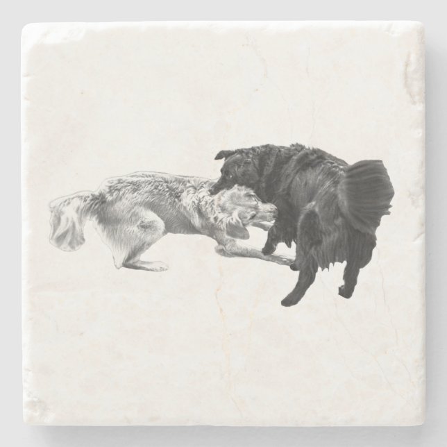 Posavasos De Piedra Pugs Dinámicos, Sombra de Mesa (Anverso)